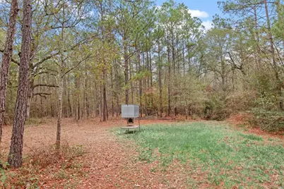 12895 County Road 201, Plantersville, TX 77363 - Photo 22