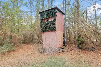 12895 County Road 201, Plantersville, TX 77363 - Photo 12