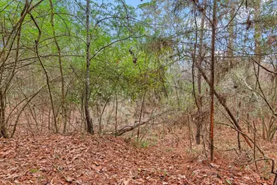 12895 County Road 201, Plantersville, TX 77363 - Photo 30
