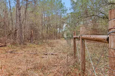 12895 County Road 201, Plantersville, TX 77363 - Photo 6