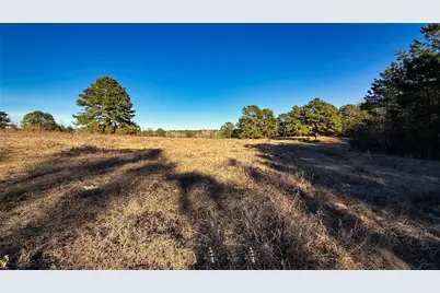 Tbd #10 County Road 477, Henderson, TX 75654 - Photo 8