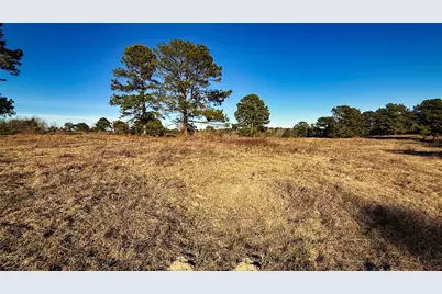 Tbd #10 County Road 477, Henderson, TX 75654 - Photo 2