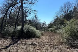 Lot 31 Cr 389, Jewett, TX 75846 - Photo 2