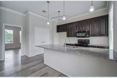 1743 Dominica Drive, Houston, TX 77345 - Photo 20