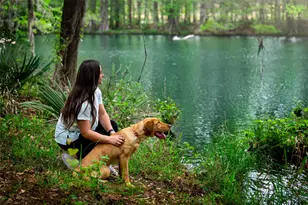 22423 Sawmill Pass Ln, Porter, TX 77365 - Photo 26