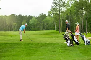 22423 Sawmill Pass Ln, Porter, TX 77365 - Photo 30