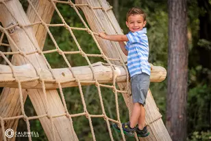 22423 Sawmill Pass Ln, Porter, TX 77365 - Photo 28