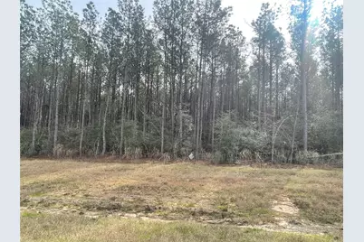 16031 Forest Mill Road, Willis, TX 77378 - Photo 6