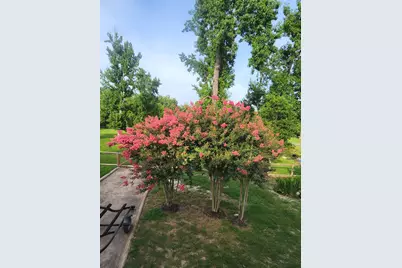 146 Creekside Drive, Onalaska, TX 77360 - Photo 48