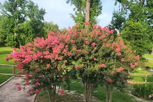 146 Creekside Dr, Onalaska, TX 77360 - Photo 48