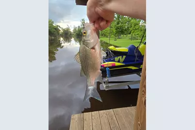 146 Creekside Drive, Onalaska, TX 77360 - Photo 44