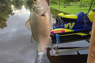 146 Creekside Dr, Onalaska, TX 77360 - Photo 44