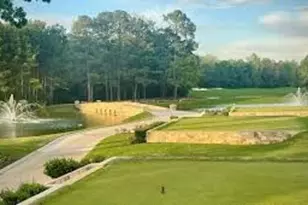 106 Joshuas Pl, Montgomery, TX 77316 - Photo 48