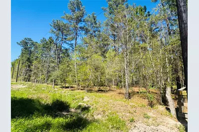 0 Creekbend Drive, Plantersville, TX 77363 - Photo 6