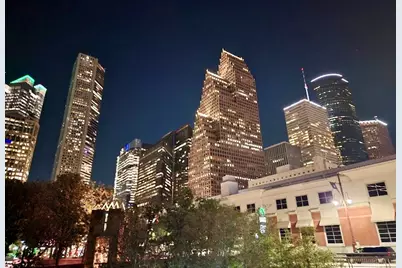 2010 Saint Charles Street, Houston, TX 77003 - Photo 34