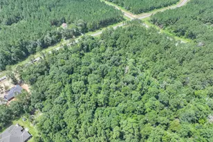 15976 Frst Ml Rd, Willis, TX 77378 - Photo 14