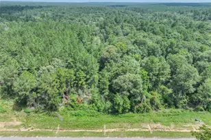 15976 Frst Ml Rd, Willis, TX 77378 - Photo 10