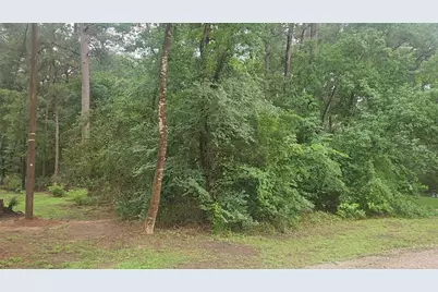 1017 Weeping Willow Drive, Plantersville, TX 77363 - Photo 6