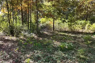 13720 Hwy 59, Splendora, TX 77372 - Photo 14