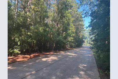 Lot 16 Forse Street, Woodville, TX 75979 - Photo 1