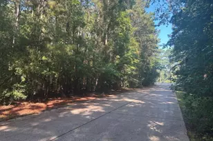 Lot 16 Forse St, Woodville, TX 75979 - Photo 1