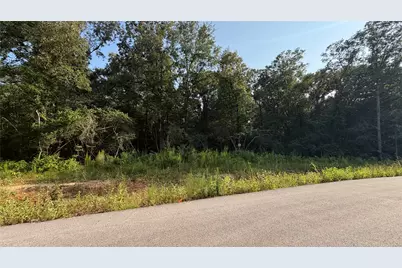 217 County Road 6311, Dayton, TX 77535 - Photo 1