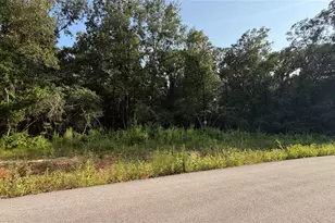 217 County Rd 6311, Dayton, TX 77535 - Photo 1