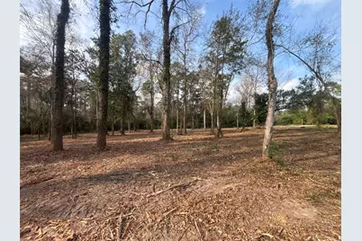 1742 Woodway Drive, Woodbranch, TX 77357 - Photo 2