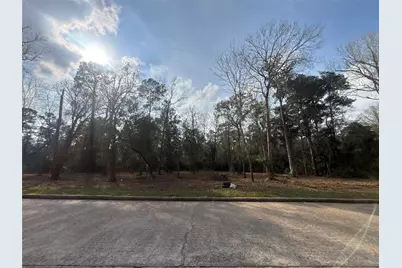 1742 Woodway Drive, Woodbranch, TX 77357 - Photo 1