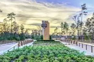 253 Trillium Park Loop, Conroe, TX 77304 - Photo 36