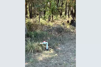 0 Mockingbird Hills, Livingston, TX 77351 - Photo 8