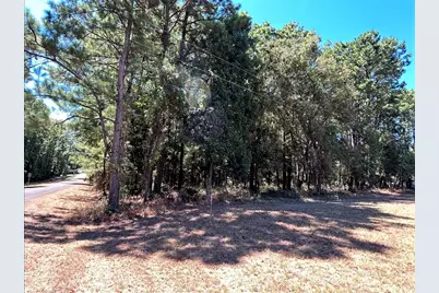 0 Mockingbird Hills, Livingston, TX 77351 - Photo 4