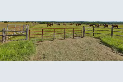 Tract #6 Cr 305 Road, Navasota, TX 77868 - Photo 8