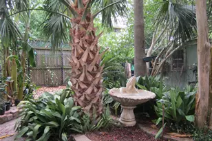 512 W Polk St, Houston, TX 77019 - Photo 14