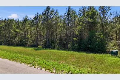 15979 Wood Grove Way, Willis, TX 77378 - Photo 10
