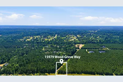 15979 Wood Grove Way, Willis, TX 77378 - Photo 12