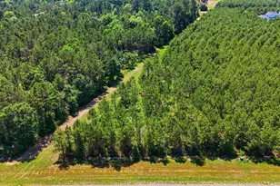 15979 Wood Grv Wy, Willis, TX 77378 - Photo 1