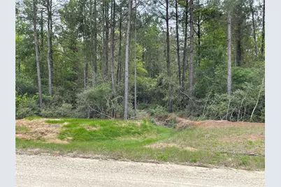 284 Iron Horse Road, New Waverly, TX 77358 - Photo 8