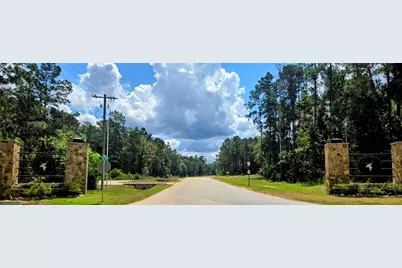 284 Iron Horse Road, New Waverly, TX 77358 - Photo 6
