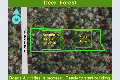 284 Iron Horse Road, New Waverly, TX 77358 - Photo 1