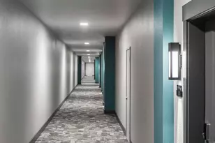 2425 Bell St, Houston, TX 77003 - Photo 24