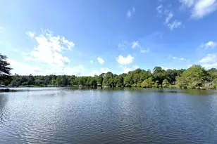 624 Co Rd 3180, Colmesneil, TX 75938 - Photo 2