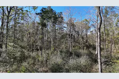 Tbd 8 & 9 Aggie Avenue, Livingston, TX 77351 - Photo 12