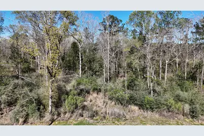 Tbd 8 & 9 Aggie Avenue, Livingston, TX 77351 - Photo 2