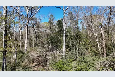 Tbd 8 & 9 Aggie Avenue, Livingston, TX 77351 - Photo 10