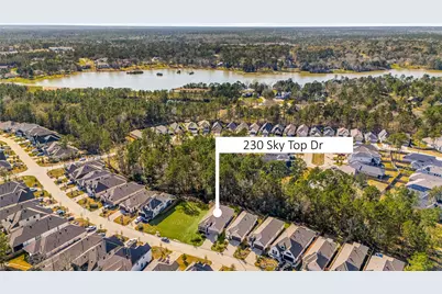 230 Sky Top Drive, Montgomery, TX 77316 - Photo 2