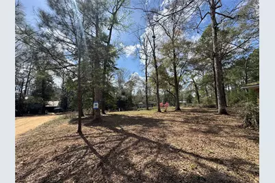 317 Bob Wills Road, Livingston, TX 77351 - Photo 22