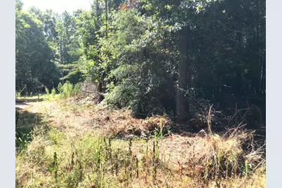 Tract 3.1 Sylvia Trail, Coldspring, TX 77331 - Photo 8