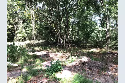 Tract 3.1 Sylvia Trail, Coldspring, TX 77331 - Photo 12