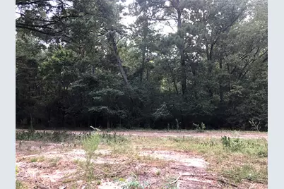 Tract 3.1 Sylvia Trail, Coldspring, TX 77331 - Photo 4